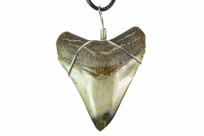 Fossil Megalodon Tooth Necklace #130386
